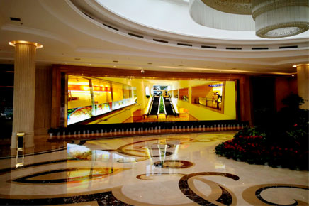 蘭州中川國(guó)際機(jī)場(chǎng)旅客服務(wù)中心T2.5戶(hù)內(nèi)屏